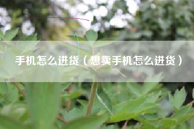 手机怎么进货(想卖手机怎么进货)